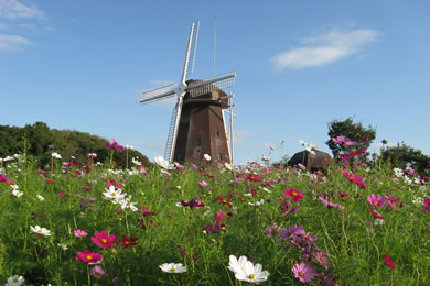 The autumnal leaves of Expo'90 Memorial. 
