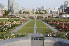 Nakanoshima Park