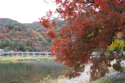 Arashiyama Park