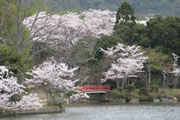 Daikaku-ji Temple