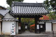 Myoshin-ji Temple