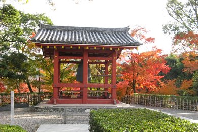 The autumnal leaves of Uji Area. 