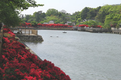Nagaoka-tenmangu Shrine