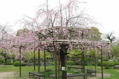 The autumnal leaves of To-ji. 