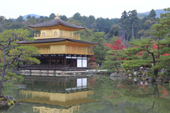 Kinkaku-ji Temple