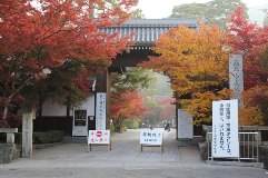 Eikando Zenrin-ji Temple
