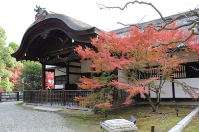 The autumnal leaves of Shoren-in. 