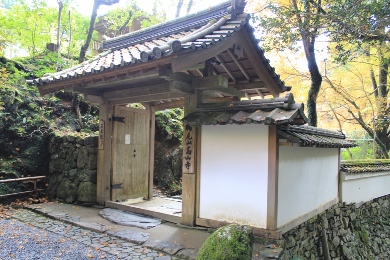 The autumnal leaves of Takao Area. 