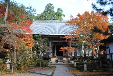 The autumnal leaves of Takao Area. 