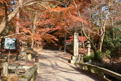 The autumnal leaves of Bishamon-do. 