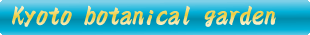 Kyoto Botanical Garden