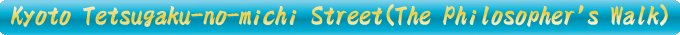 Tetsugaku-no-michi Street