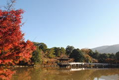 Nara park
