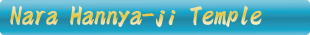 Hannya-ji Temple