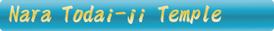 Todai-ji Temple